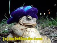 /home//u458753944/public_html/sourcegallery//Roxborough Toad Detour/2013-2019/2017/P4030690.JPG